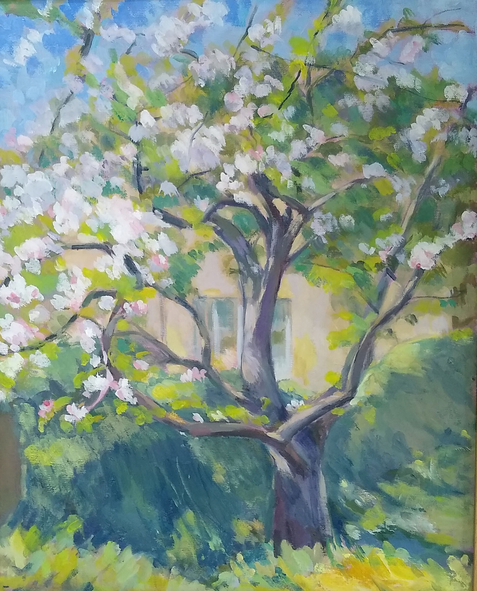 An oil painting of an apple tree in May by Caroline Mayow