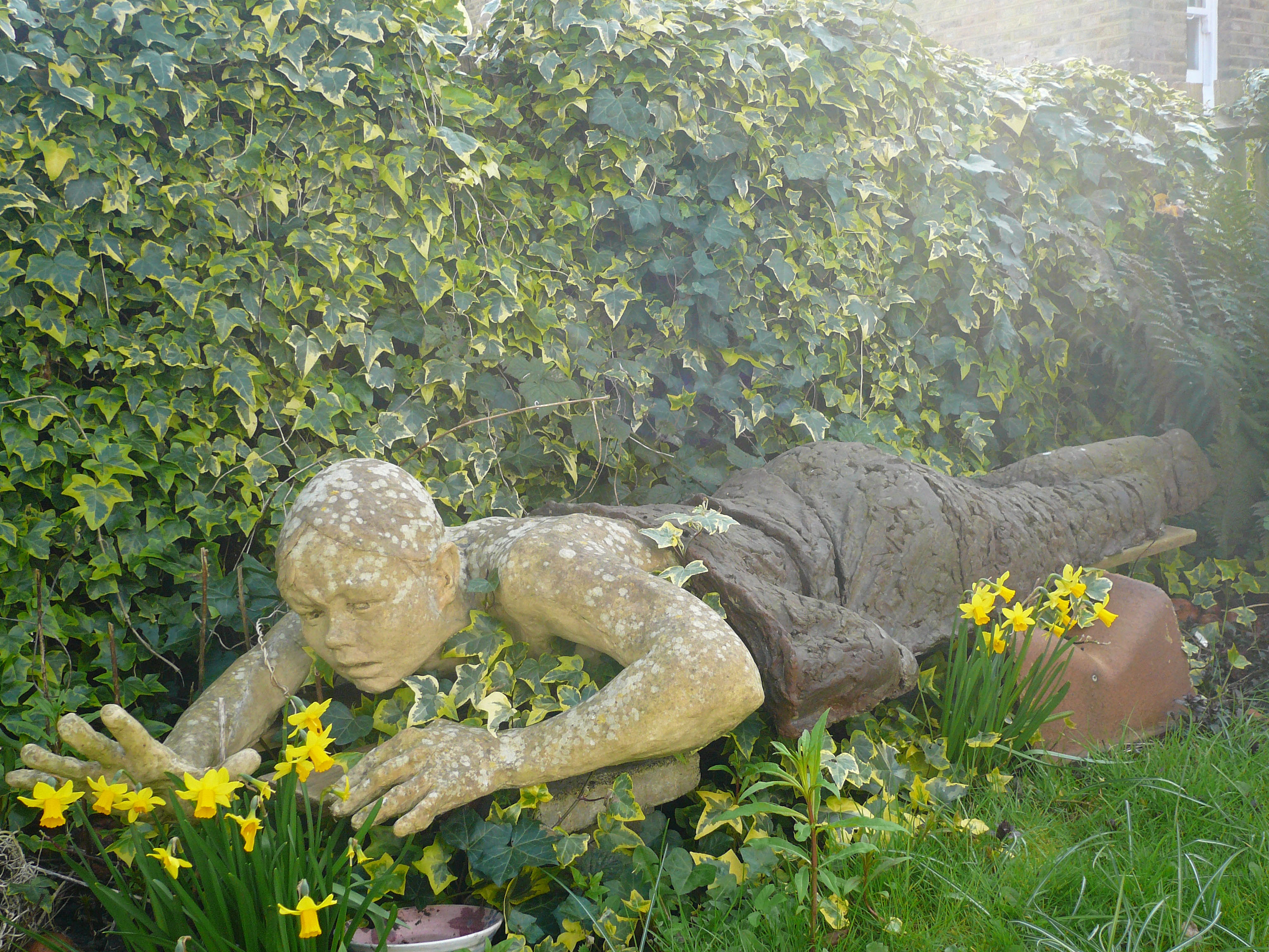 Emerging by Caroline Mayow